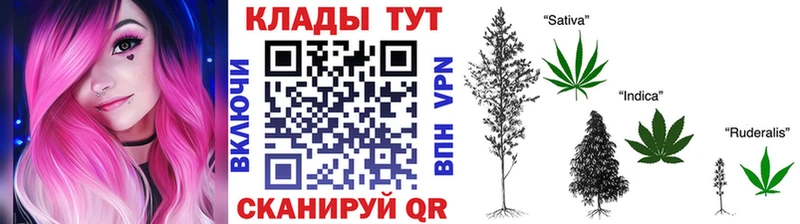 Купить наркоту Судак Галлюциногенные грибы  Марихуана  АМФЕТАМИН 